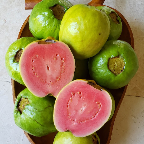 GUAVA (Psidium guajava ) - variety: pink